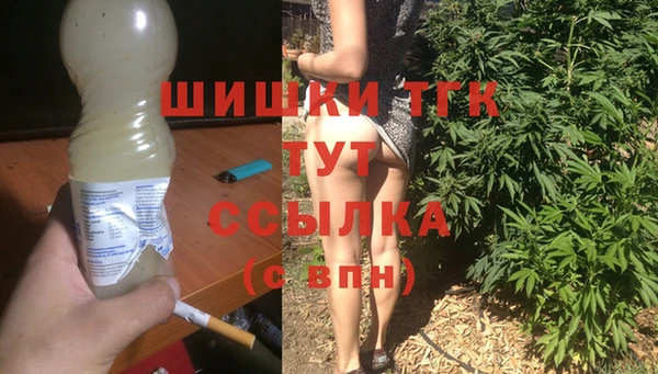шишки Алексин